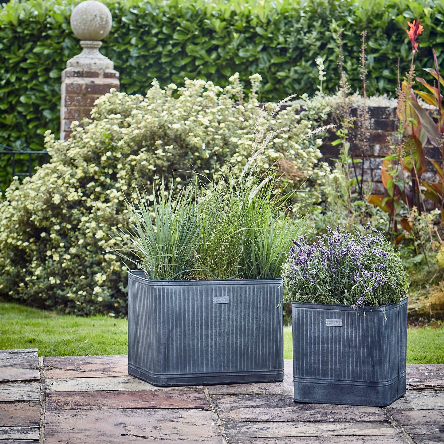 Hampton Galvanised Metal Planters by Ivyline