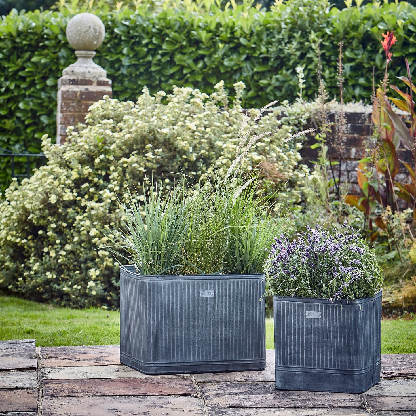 Hampton Galvanised Metal Planters by Ivyline
