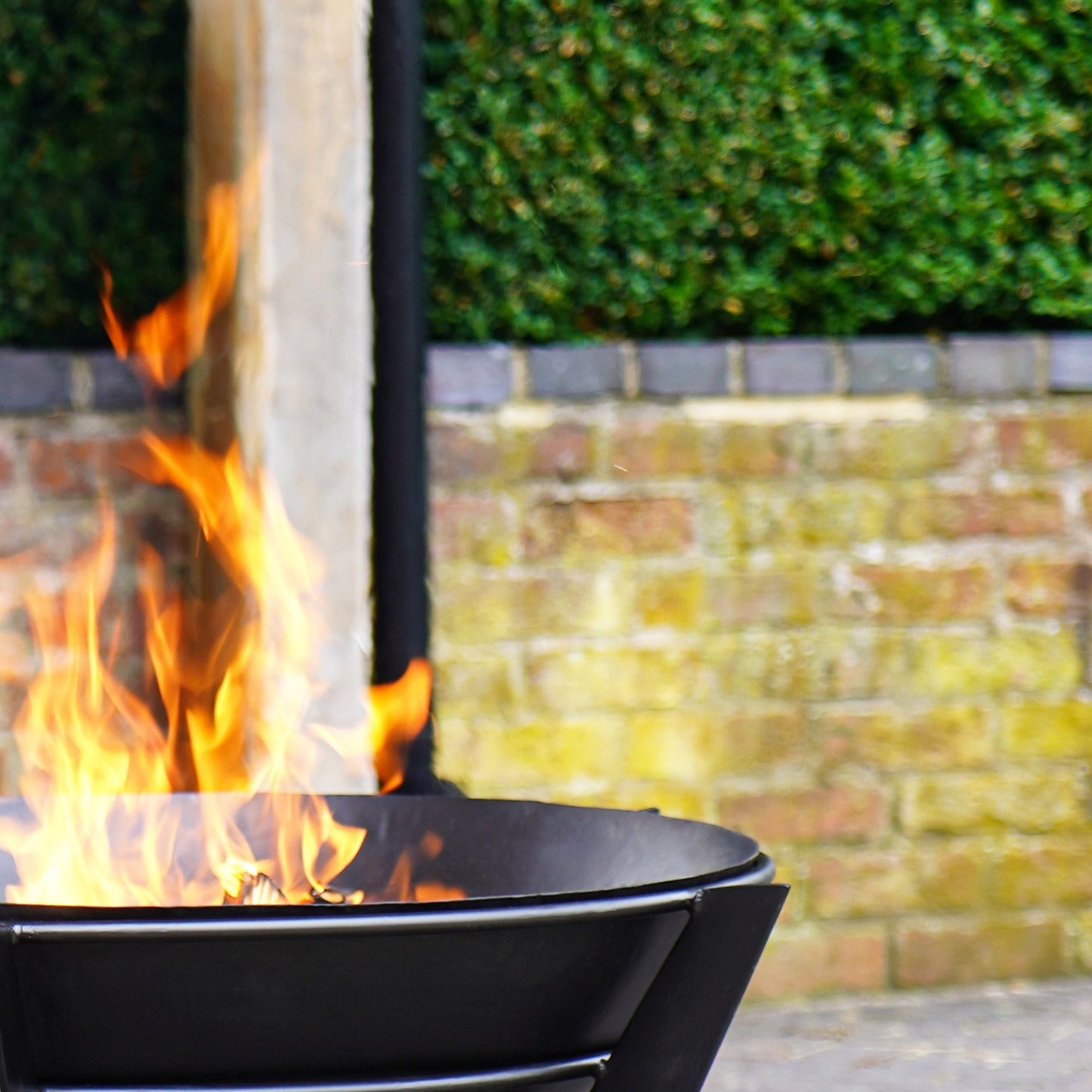 Metal Kendal Outdoor Fire Pit on Stand in Black by Ivyline