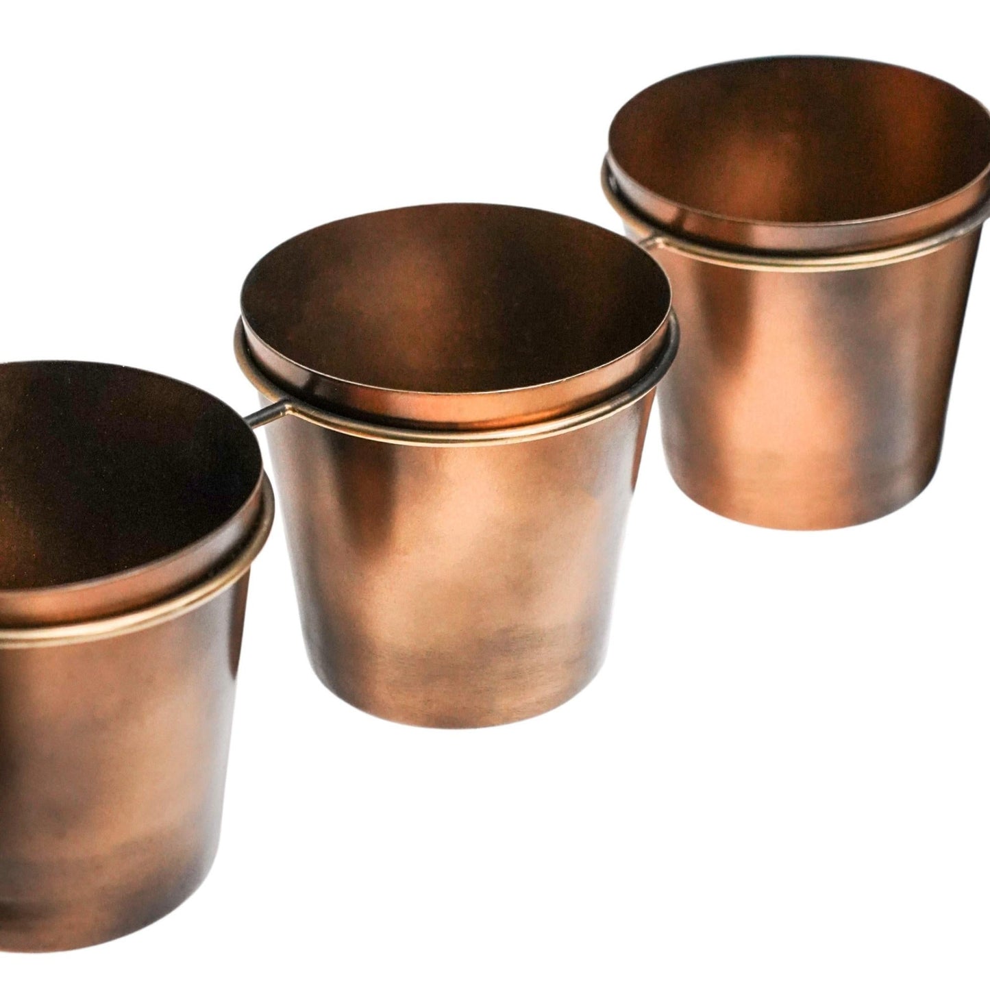 Outdoor Vertical Gold Metal Wall Plant Stand with Planters by Ivyline