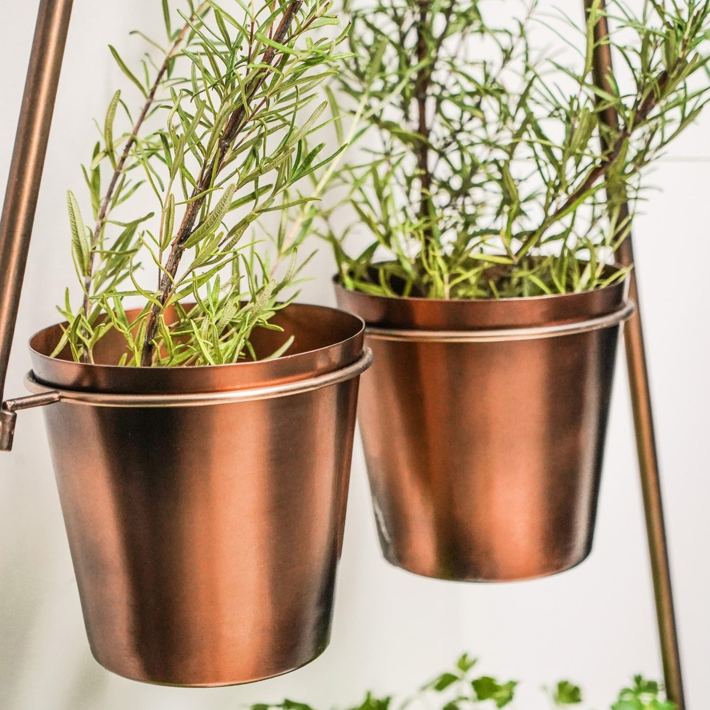 Outdoor Vertical Gold Metal Wall Plant Stand with Planters by Ivyline