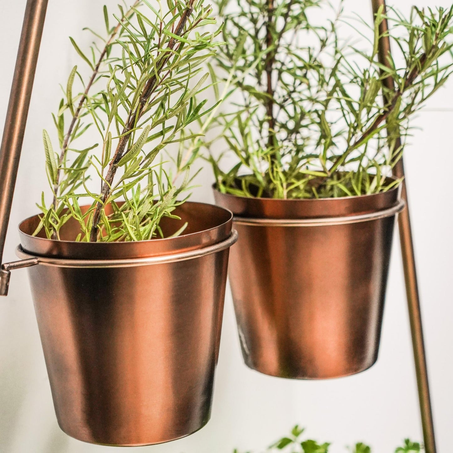 Outdoor Vertical Gold Metal Wall Plant Stand with Planters by Ivyline