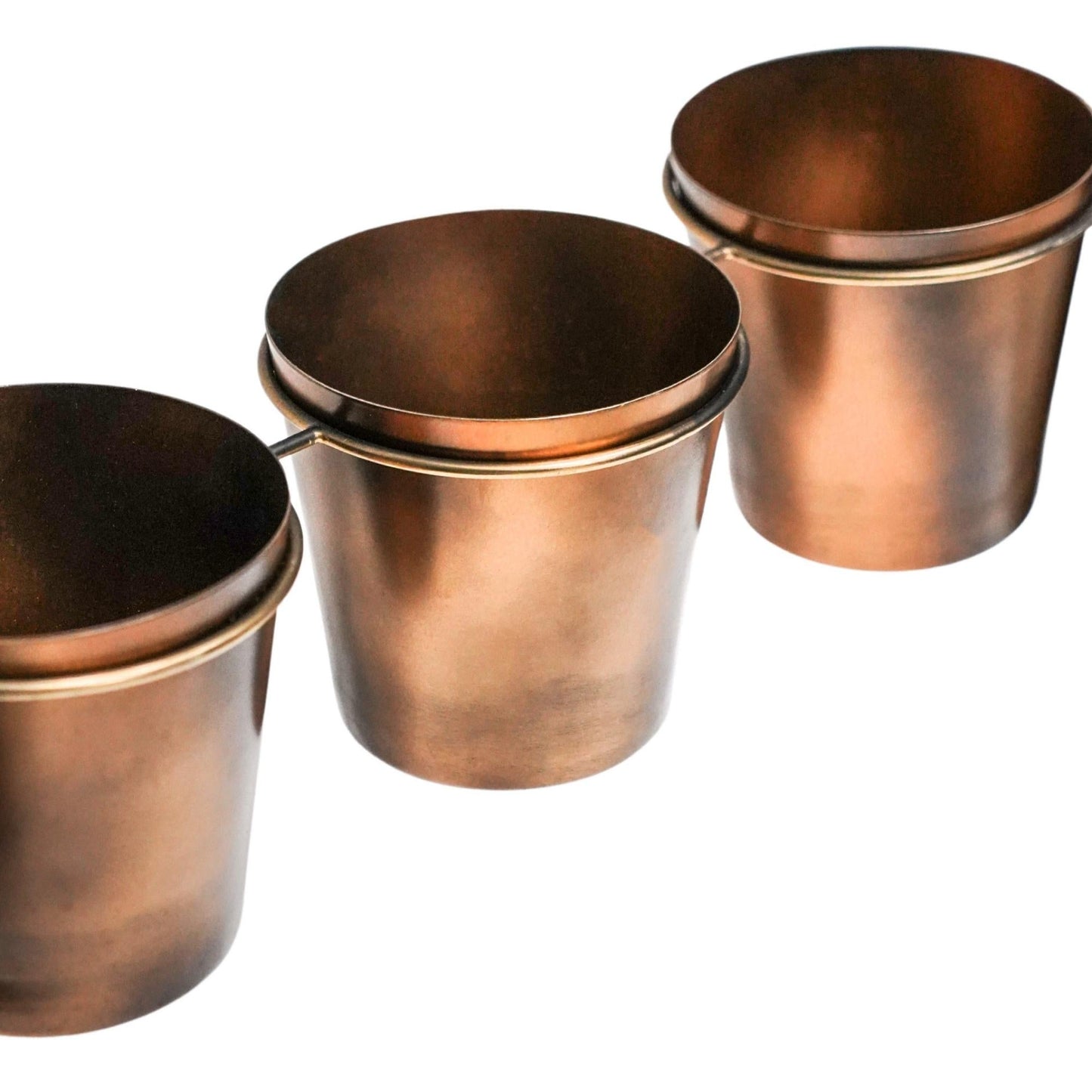 Outdoor Vertical Gold Metal Wall Plant Stand with Planters by Ivyline
